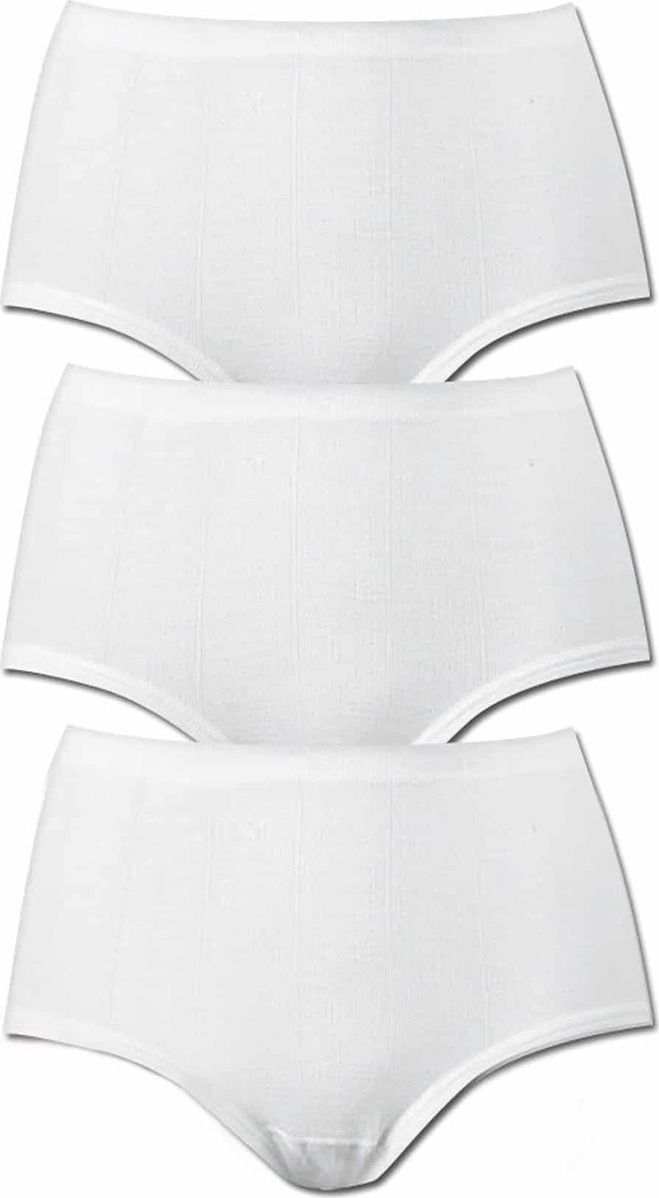 Minerva Βαμβακερά Ψηλόμεσα Γυναικεία Slip 3Pack 83203